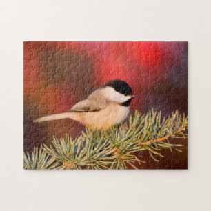 Carolina Chickadee in Blue Atlas Cedar Jigsaw Puzzle