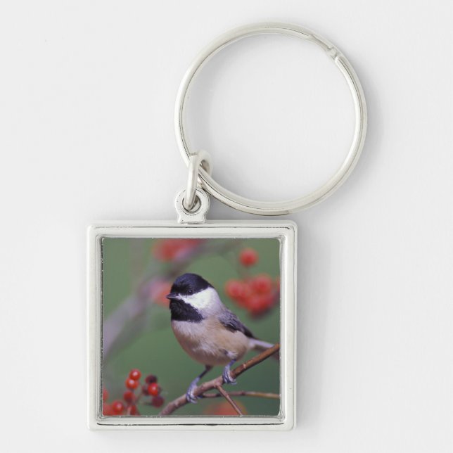 Carolina Chickadee Keychain (Front)