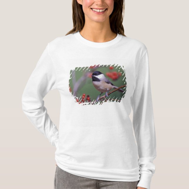 Carolina Chickadee T-Shirt (Front)