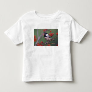 Carolina Chickadee Toddler T-shirt