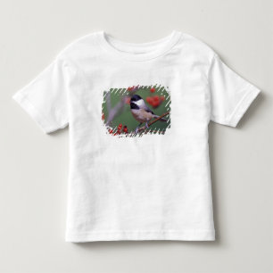 Carolina Chickadee Toddler T-shirt