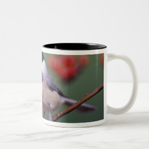 Carolina Chickadee Two-Tone Coffee Mug