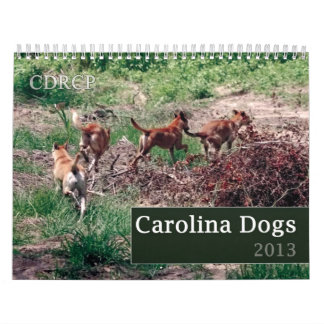 Carolina Dog Calendar 2013