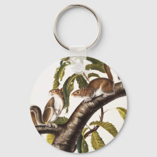 Carolina Grey Squirrel (Sciurus Carolinensis) Keychain