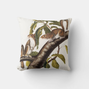 Carolina Grey Squirrel (Sciurus Carolinensis) Throw Pillow