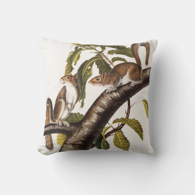 Carolina Grey Squirrel (Sciurus Carolinensis) Throw Pillow (Front)