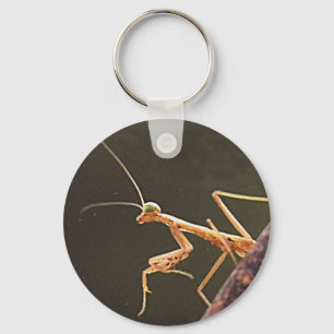 Carolina Mantis Keychain