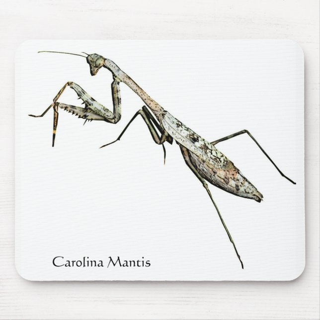 Carolina Mantis Mouse Pad (Front)