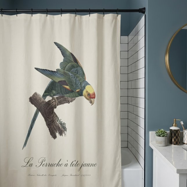 Carolina parakeet, Conuropsis carolinensis (Carolina parakeet, Conuropsis carolinensis. Shower Curtain)