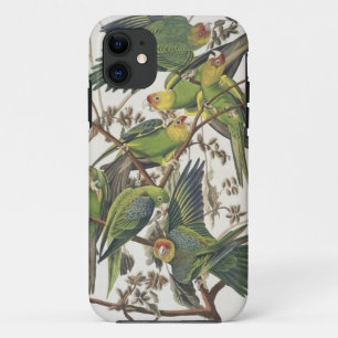 Carolina Parakeet, from 'Birds of America', 1829 iPhone 11 Case