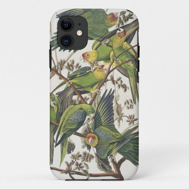 Carolina Parakeet, from 'Birds of America', 1829 Case-Mate iPhone Case (Back)