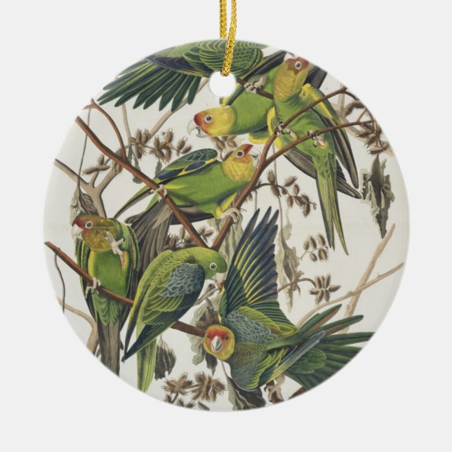Carolina Parakeet, from 'Birds of America', 1829 Ceramic Ornament (Front)