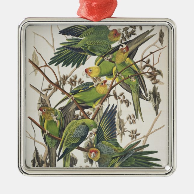Carolina Parakeet, from 'Birds of America', 1829 Metal Ornament (Front)