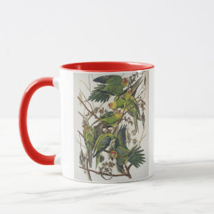 Carolina Parakeet, from 'Birds of America', 1829 Mug
