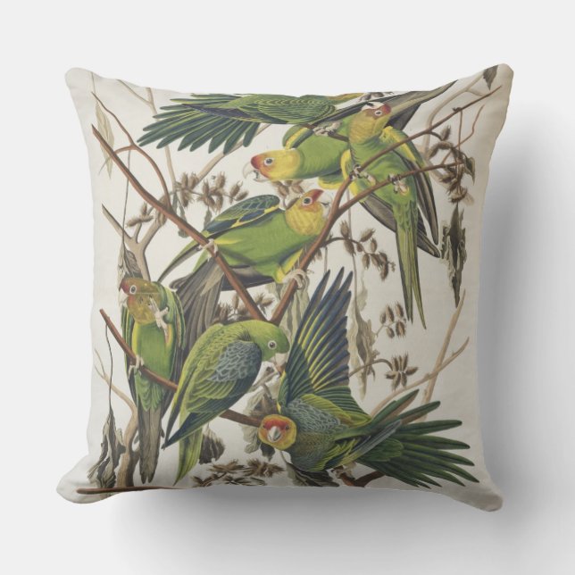 Carolina Parakeet, from 'Birds of America', 1829 Throw Pillow (Front)