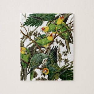 Carolina Parakeet Jigsaw Puzzle