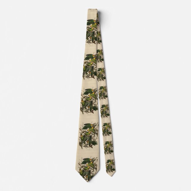 Carolina Parrot from Audubon's Birds of America Tie (Front)