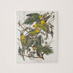 Carolina Parrot - John James Audubon (1827-1838) Jigsaw Puzzle