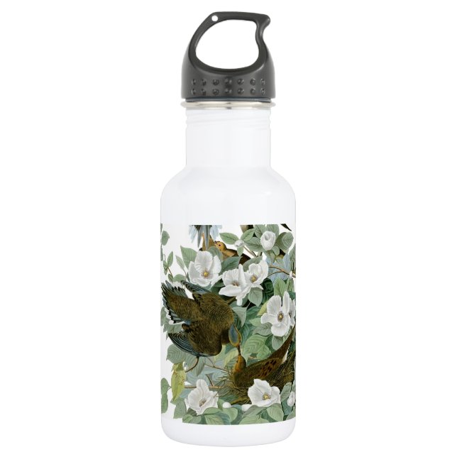 Carolina Pigeon Audubon Morning Dove Bird 532 Ml Water Bottle (Front)
