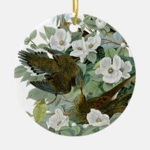 Carolina Pigeon Audubon Morning Dove Bird Ceramic Ornament