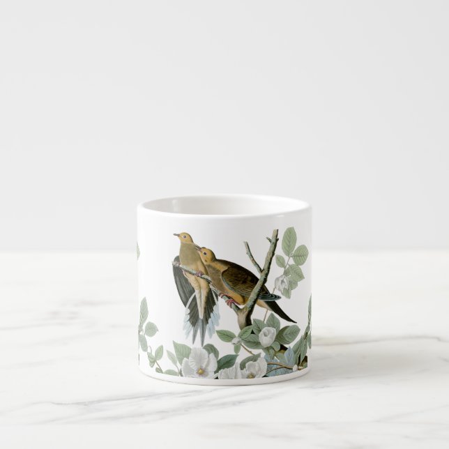 Carolina Pigeon Audubon Morning Dove Bird Espresso Cup (Front)