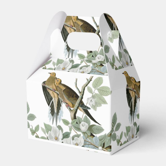 Carolina Pigeon Audubon Morning Dove Bird Favor Box (Front Side)