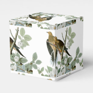 Carolina Pigeon Audubon Morning Dove Bird Favor Box