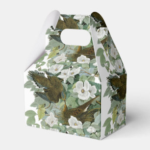 Carolina Pigeon Audubon Morning Dove Bird Favor Box