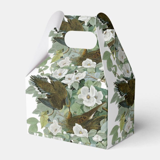 Carolina Pigeon Audubon Morning Dove Bird Favor Box (Front Side)
