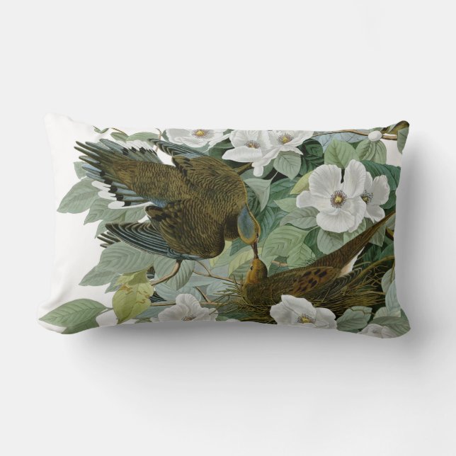 Carolina Pigeon Audubon Morning Dove Bird Lumbar Pillow (Front)