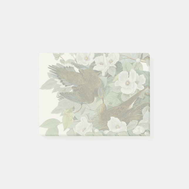 Carolina Pigeon Audubon Morning Dove Bird Post-it Notes (Front)