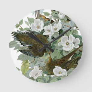 Carolina Pigeon Audubon Morning Dove Bird Round Clock