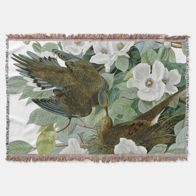 Carolina Pigeon Audubon Morning Dove Bird Throw Blanket (Front)