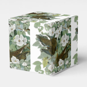 Carolina Pigeon Audubon Morning Dove Favor Box