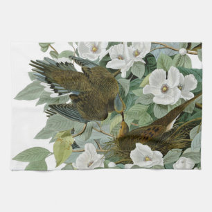 Carolina Pigeon Audubon Morning Dove Kitchen Towel