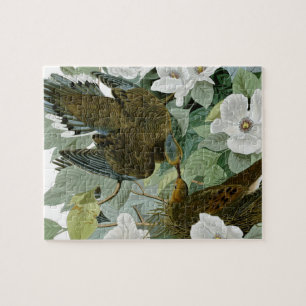 Carolina Pigeon John James Audubon Birds Jigsaw Puzzle