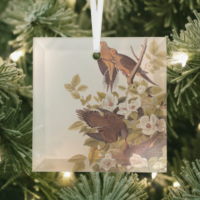 Carolina Pigeon or Mourning Dove Glass Ornament (Insitu)