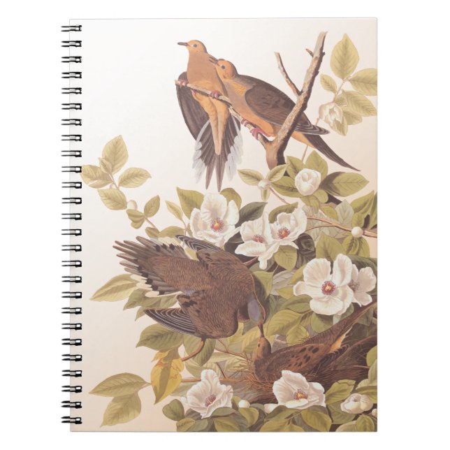 Carolina Pigeon or Mourning Dove Notebook (Front)