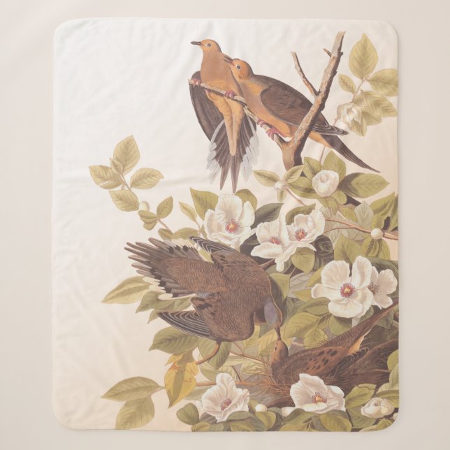 Carolina Pigeon or Mourning Dove Sherpa Blanket (Front)