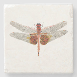Carolina Saddlebags Dragonfly Coaster