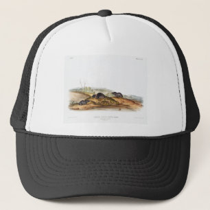Carolina Shrew House Mouse Girl Boy Room Trucker Hat