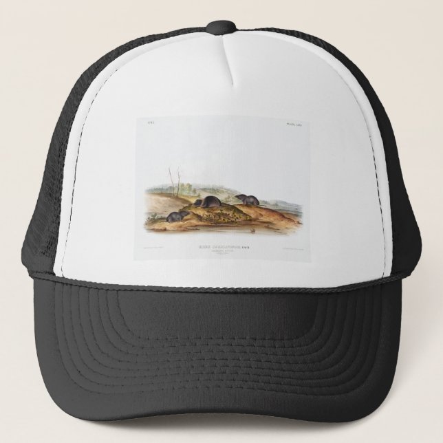 Carolina Shrew House Mouse Girl Boy Room Trucker Hat (Front)