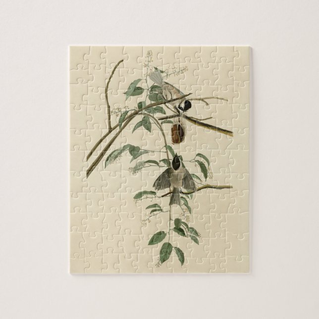 Carolina Titmouse from Audubon's Birds of America Jigsaw Puzzle (Vertical)