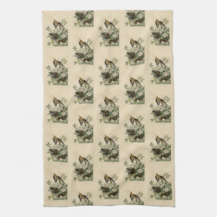 Carolina Turtle Dove Mourning Dove Audubon's Birds Kitchen Towel