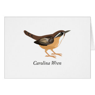 Carolina Wren