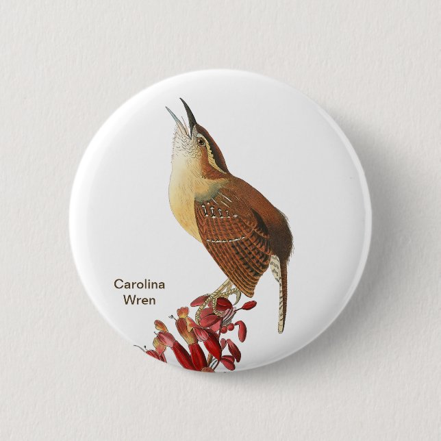 Carolina Wren, Audubon, Backyard Birdwatcher Bird  2 Inch Round Button (Front)