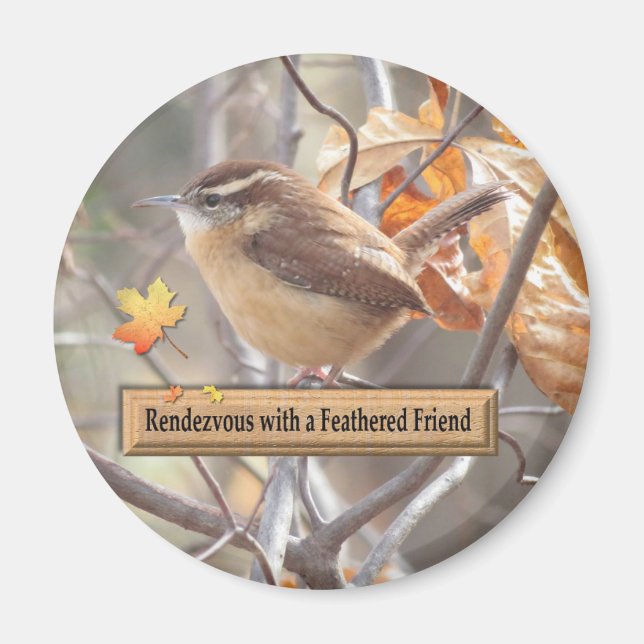 Carolina Wren Birding Magnet. Magnet (Front)