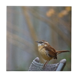 Carolina Wren Ceramic Tile