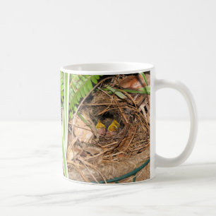 Carolina Wren Family 2 Mug