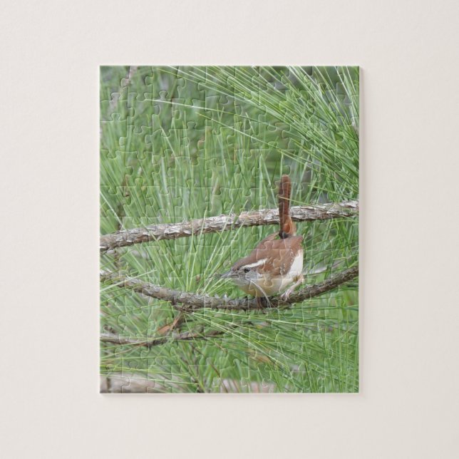 Carolina Wren in Pine Tree Jigsaw Puzzle (Vertical)